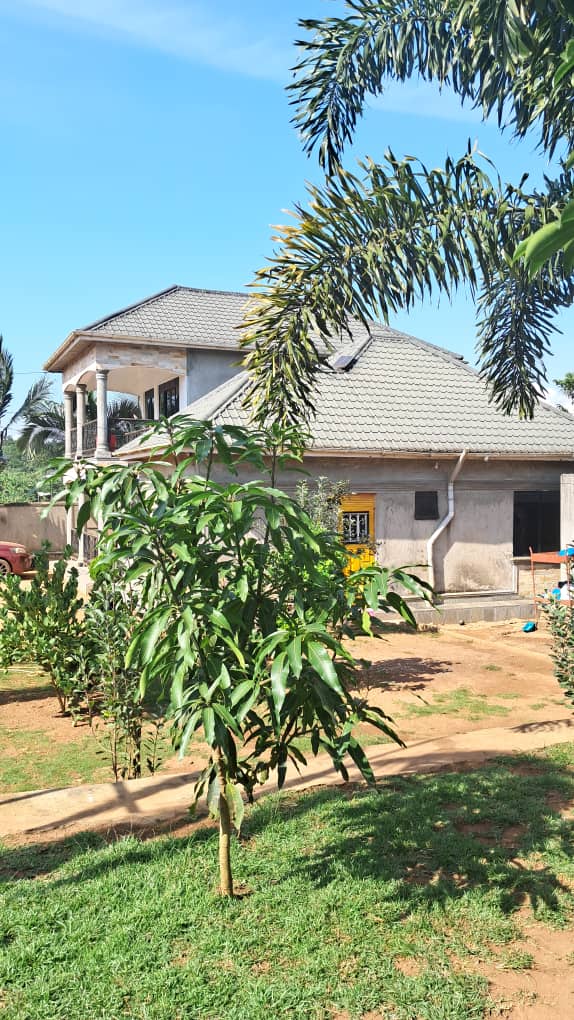 Modern Luxury Estate